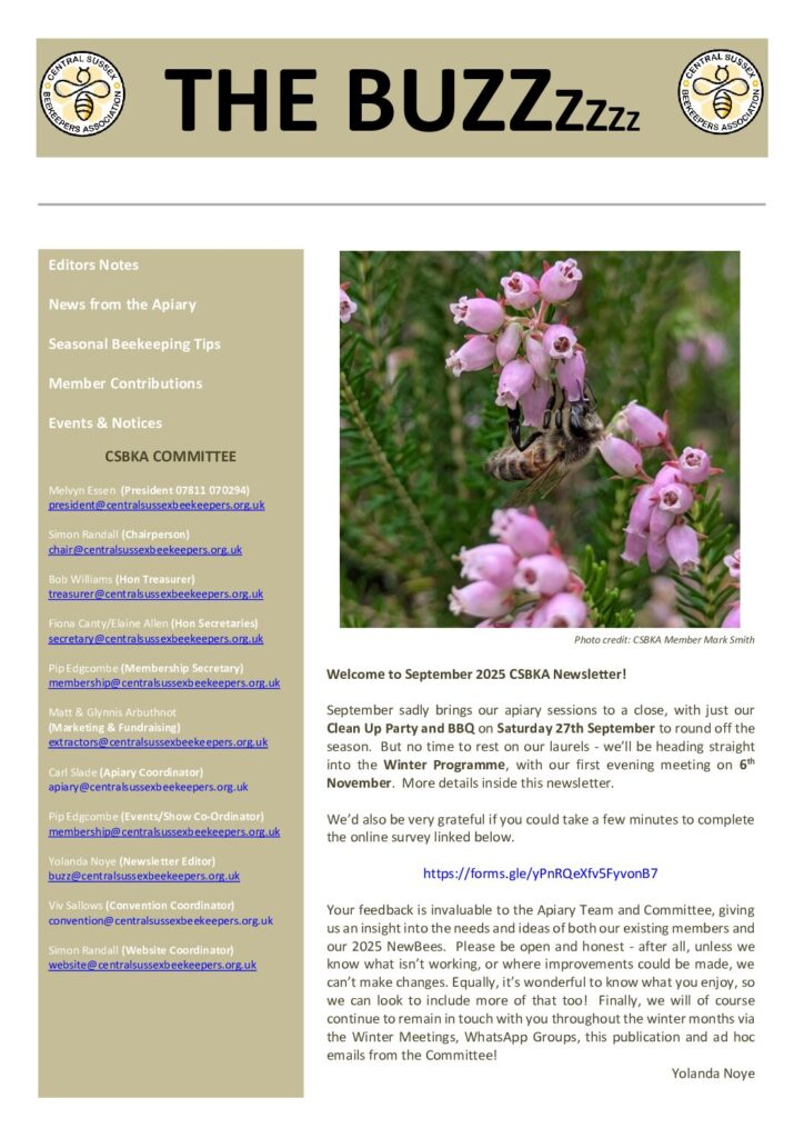 thumbnail of The Buzz – September 2025