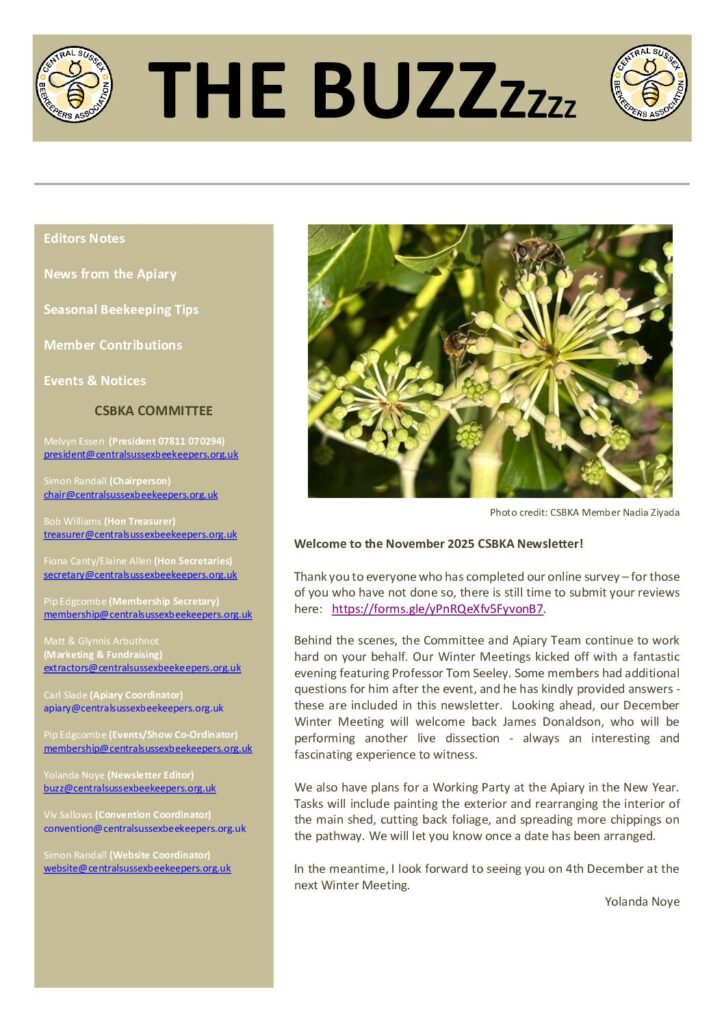 thumbnail of The Buzz – November 2025