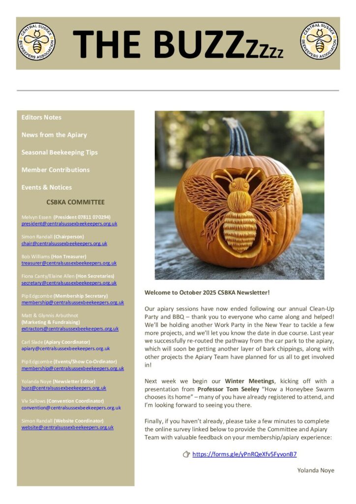 thumbnail of The Buzz – October 2025