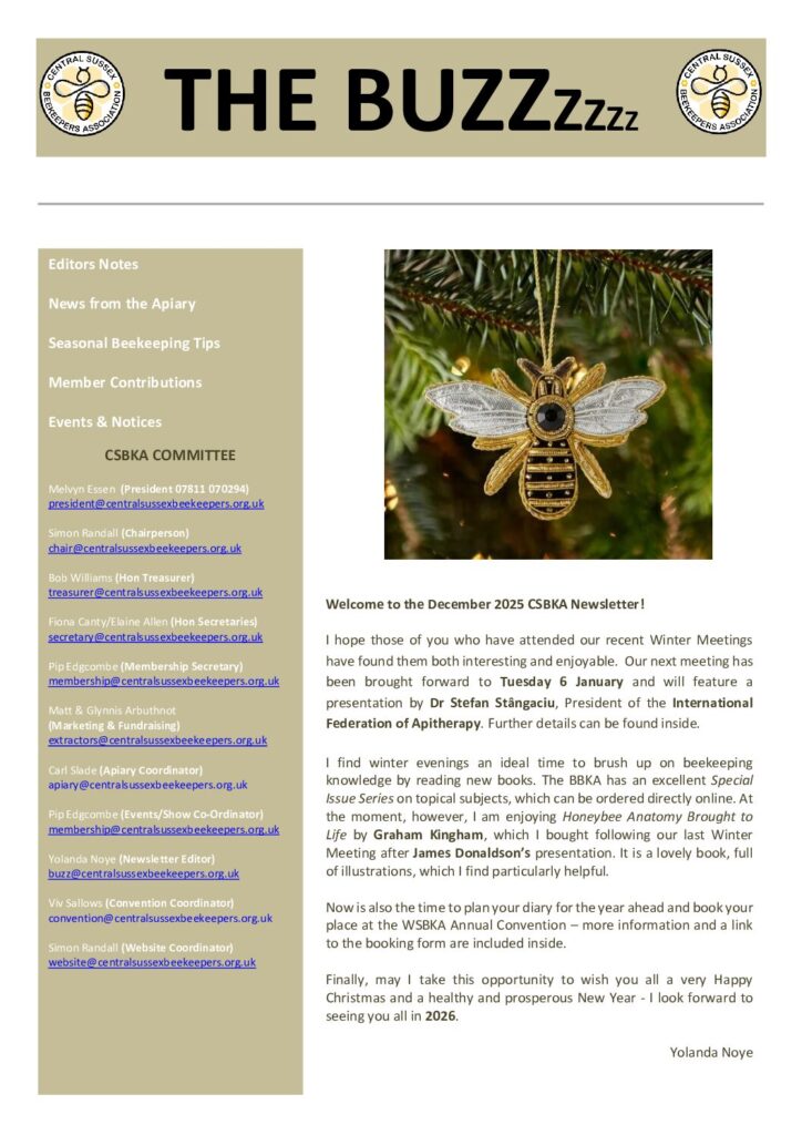 thumbnail of The-Buzz-December-2025