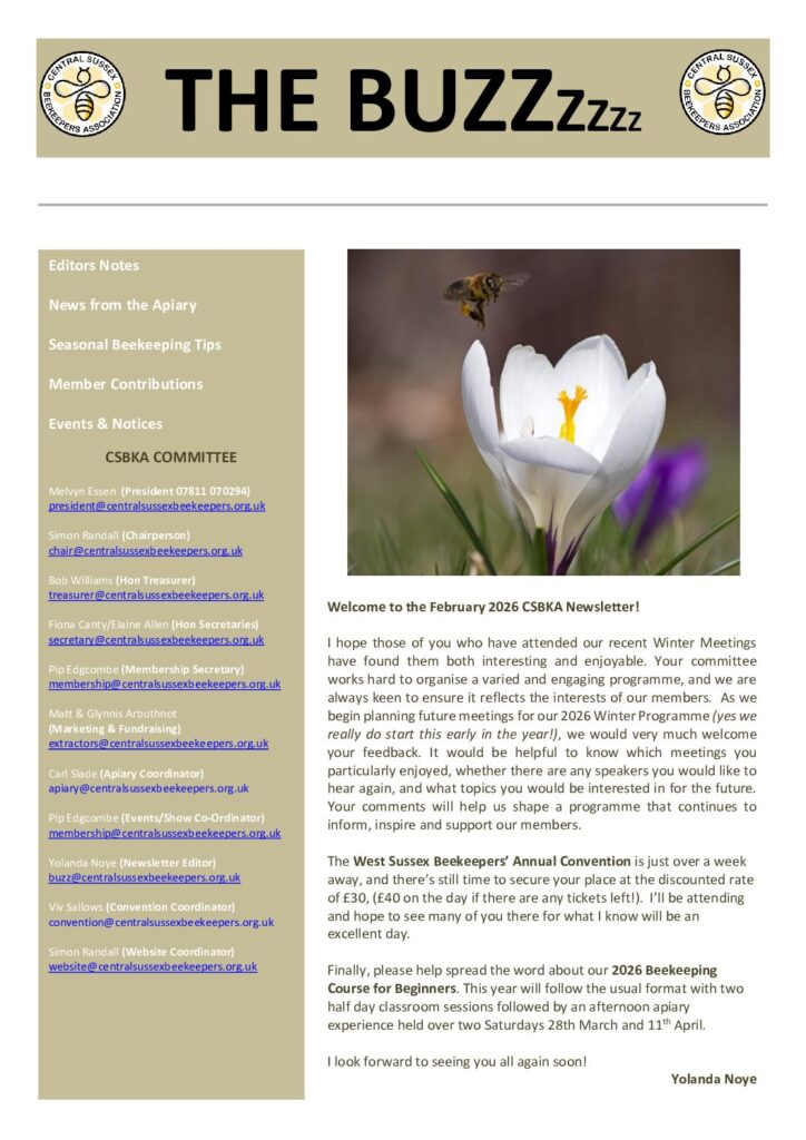 thumbnail of The Buzz – February 2026