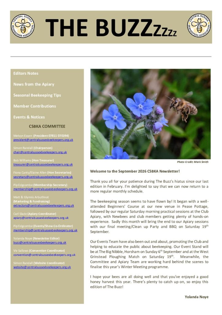 thumbnail of The Buzz – September 2026